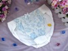 Wholesale panty