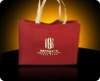 2011 high qulity Customize non-woven bag(NW-227)