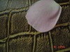 Wholesale PVC LEATHER