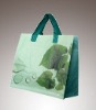 pp woven shopping bag for storage