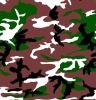Wholesale cagans fabric