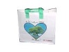 Wholesale PP Non Woven Bag