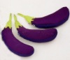 Wholesale eggplant shopping bag