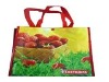 PP Woven Bag