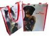 PP Non Woven Bag