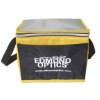 Wholesale 70D PVC lunch bags/cooler bags/cool bags
