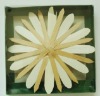 Wholesale Wooden Decoration DSC00594