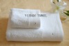 Wholesale Hotel towel