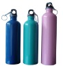 Wholesale Different BPA free Stainless Steel Drinking Bottle