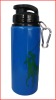 Wholesale 600ml width-mouth bottle for new style