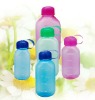 Wholesale Promotion Water Bottle