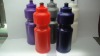Wholesale NEW style water bottles