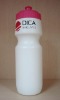 Wholesale drinking BOTTLE