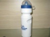 Wholesale promotional water bottle