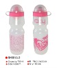 Wholesale promotional bottle