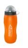 Wholesale promotional sports bottle