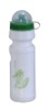 Wholesale promotional water bottle