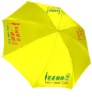 Wholesale promotional umbrella