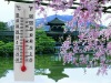Wholesale paper card thermometer