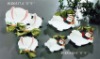 Ceramic dinner set