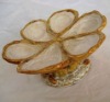 Wholesale ceramic divided plate