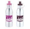 Stainless steel travel water bottle