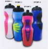 Sport Bottle