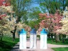 Wholesale YQ-9211water bottle