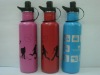 Wholesale sports bottle