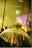 Wholesale umbrella transparent