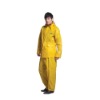 Wholesale pvc adults rainsuit
