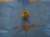 Wholesale waterproof children poncho