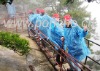 Wholesale pe disposable rain coat