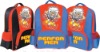 Wholesale school bag with carton
