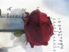 Wholesale Rose/Valentine rose/artificial rose flower for A realistic 75cm long single stem rose in Red colour