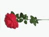 Wholesale best artificial flower