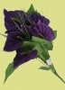 Wholesale Decorative Artificial Flower