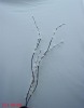 Wholesale 2011 New design Of Corn skin natural artificial flower