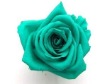Wholesale 100% natural preserved artificial flower