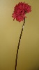 Wholesale Artificial Flower