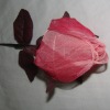 Wholesale artificial flower