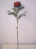 Wholesale Artificial flower/rose