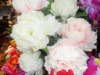Wholesale artificial flower& artificial grass& artificial plant& artificial tree