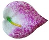 Wholesale artificial flowers