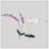 Wholesale Beatiful artificial flower orchid BT0241