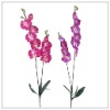 Beatiful artificial flower moth orchid BT0242