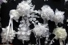 Wholesale Bride flowerTGF21C09(artificial flower,silk rose,plastic flower,paper flower,wedding flower,silk flower,handmade flower)