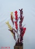 Wholesale 2011 New design of corn skin natural artificial flower