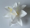 Wholesale Artificial Flower