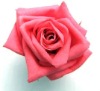 100% natural preserved artificial flower